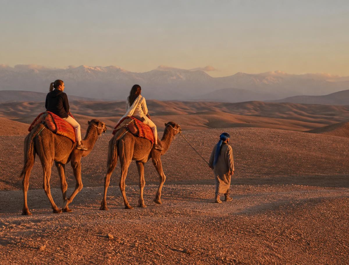 Balade à dos de dromadaire à Agafay